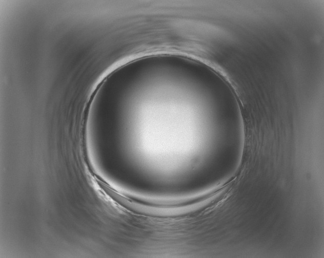 X0000078281534200611101120