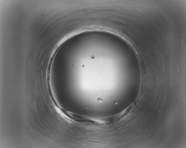 X0000078281535200611101120