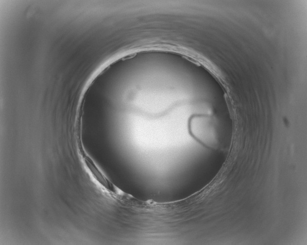 X0000078281536200611101120