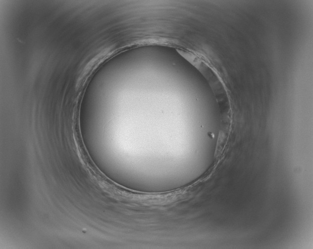 X0000078280001200611172108