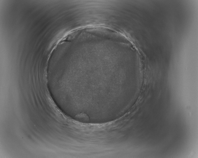 X0000078280002200611172108