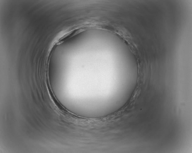 X0000078280003200611172108