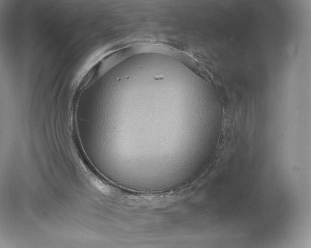 X0000078280005200611172108