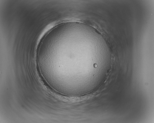 X0000078280006200611172108