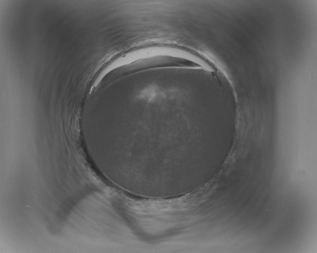 X0000078280009200611172108