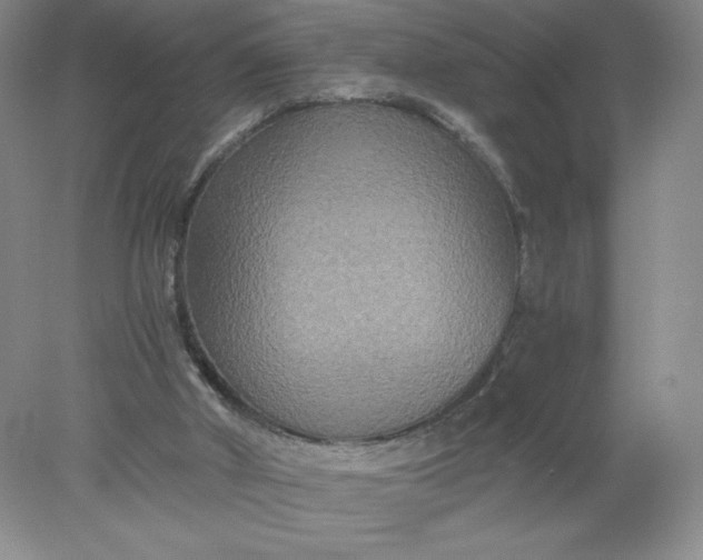 X0000078280010200611172108