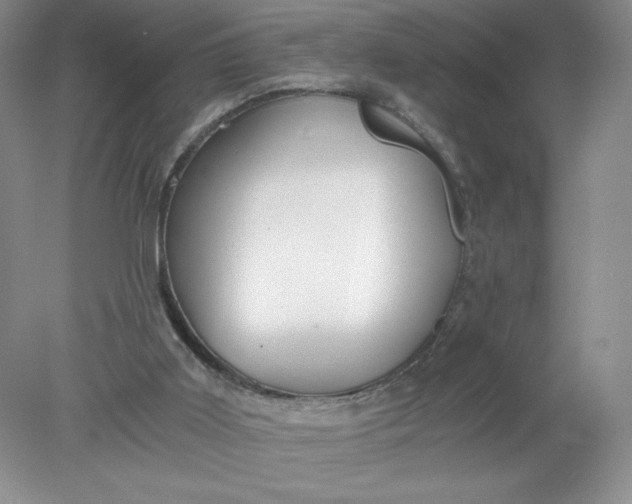 X0000078280011200611172108