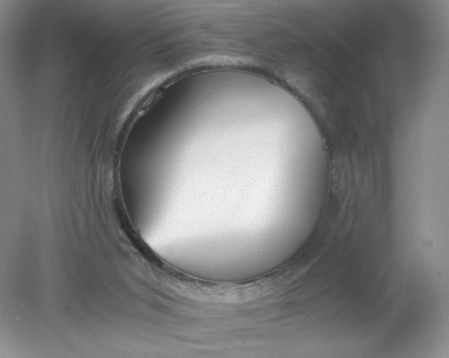 X0000078280015200611172108