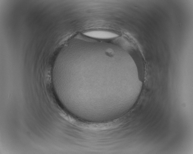 X0000078280017200611172108