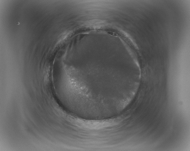 X0000078280018200611172108