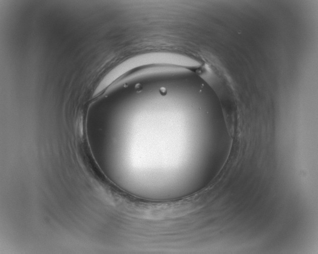 X0000078280021200611172108