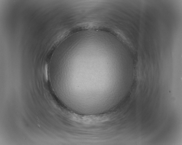 X0000078280022200611172108