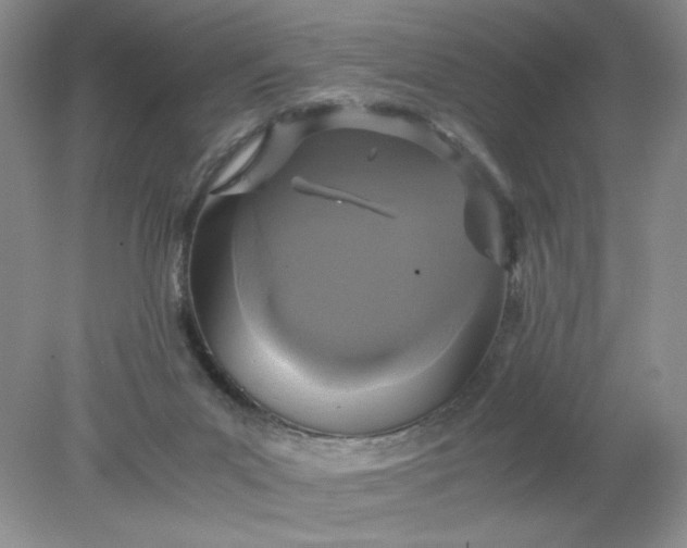 X0000078280023200611172108