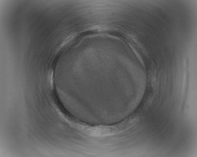 X0000078280024200611172108