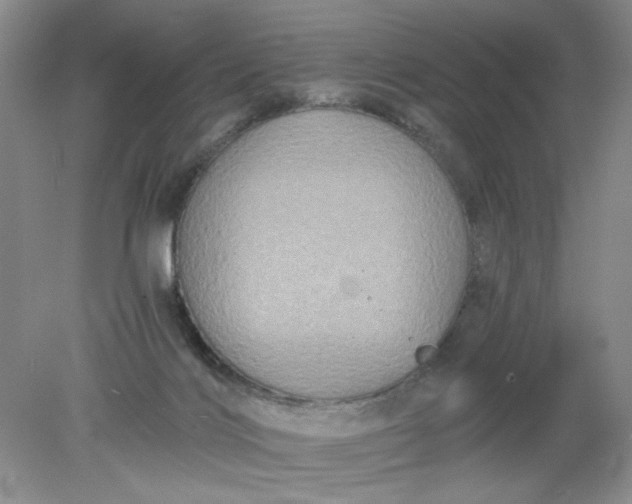 X0000078280028200611172108