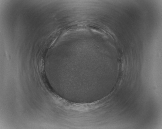 X0000078280029200611172108