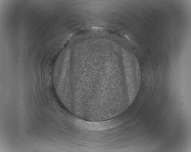 X0000078280030200611172108