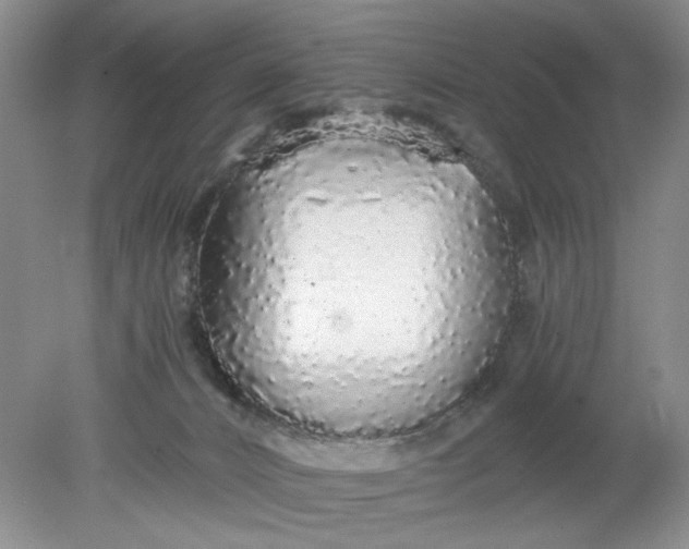 X0000078280032200611172108