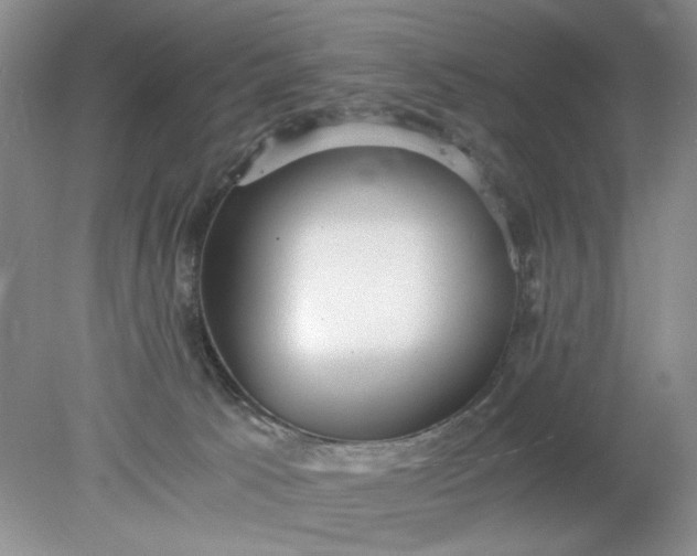 X0000078280033200611172108