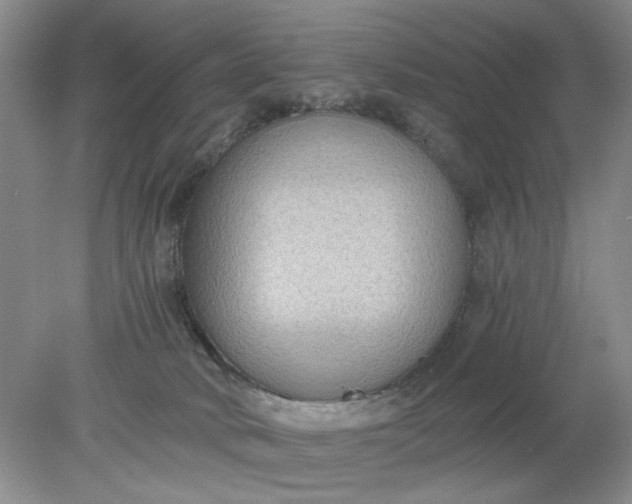 X0000078280034200611172108