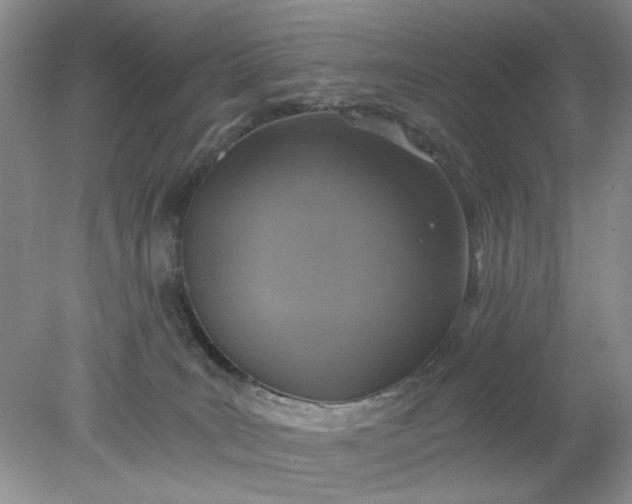 X0000078280035200611172108