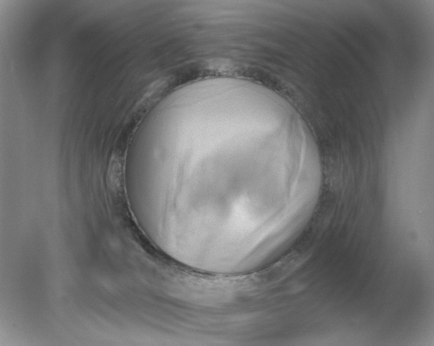 X0000078280036200611172108