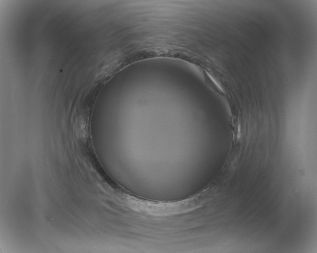 X0000078280039200611172108