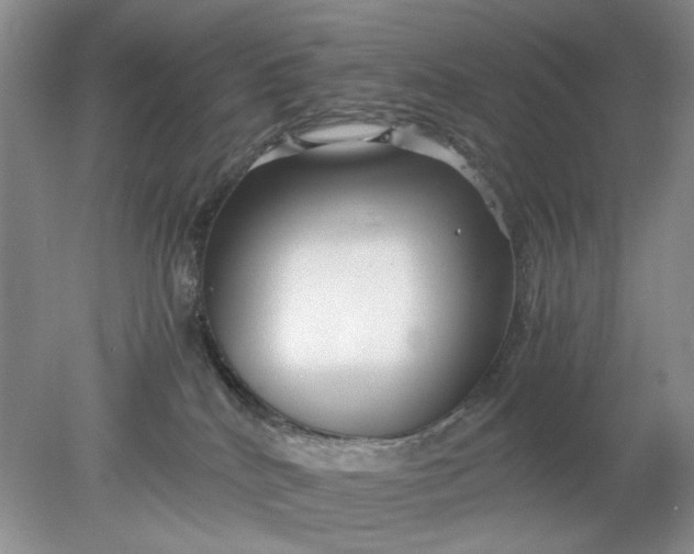 X0000078280040200611172108