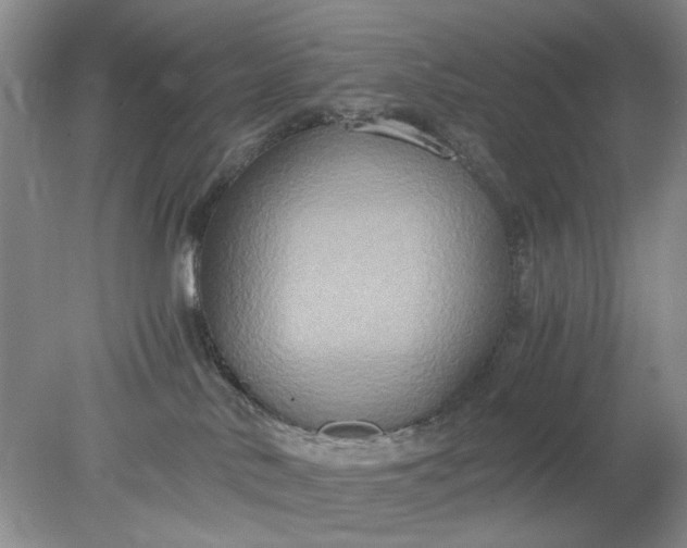 X0000078280042200611172108