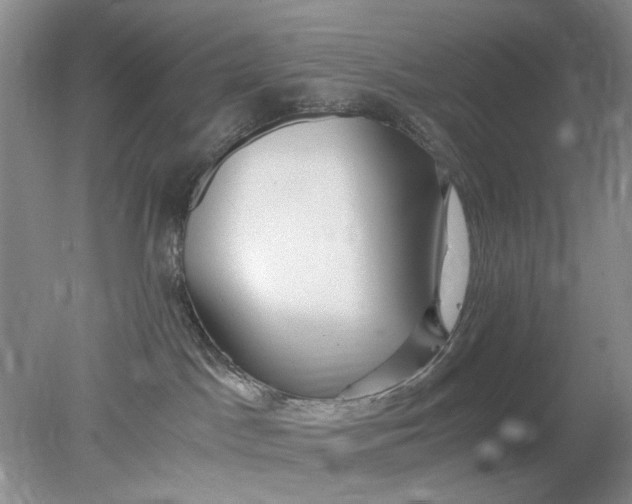 X0000078280045200611172108