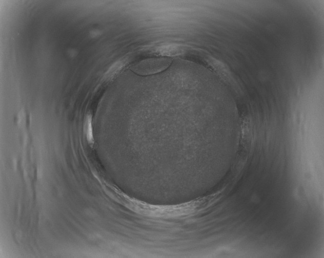 X0000078280046200611172108