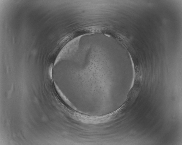 X0000078280047200611172108