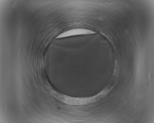 X0000078280048200611172108