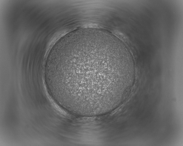 X0000078280049200611172107