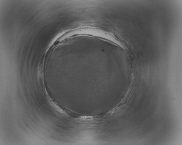 X0000078280052200611172107