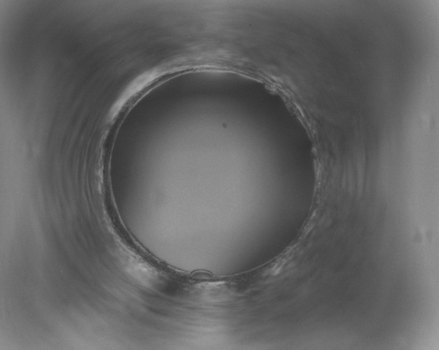 X0000078280054200611172107