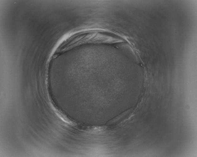 X0000078280056200611172107