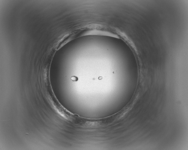 X0000078280057200611172107