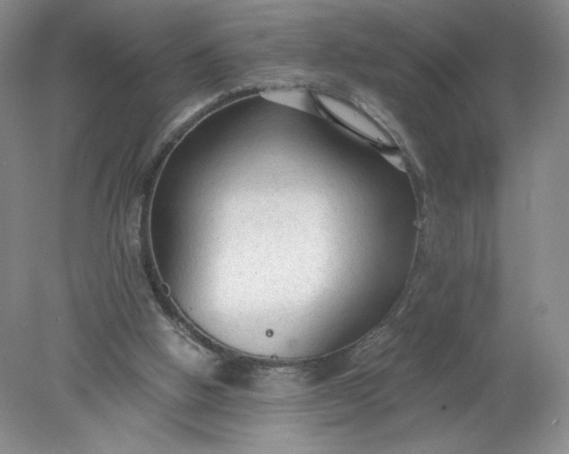 X0000078280058200611172107