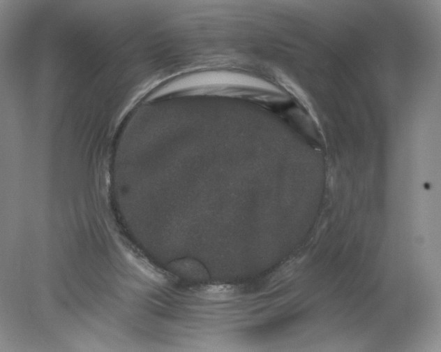 X0000078280059200611172107