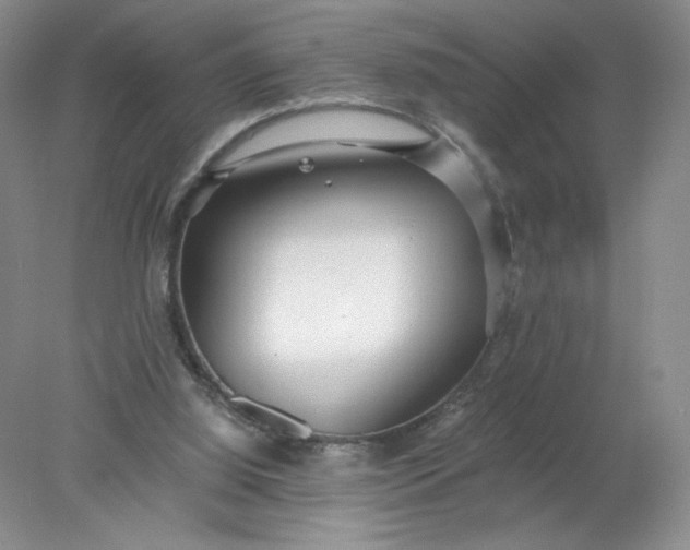 X0000078280060200611172107