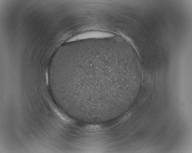 X0000078280061200611172107