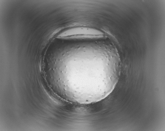 X0000078280062200611172107