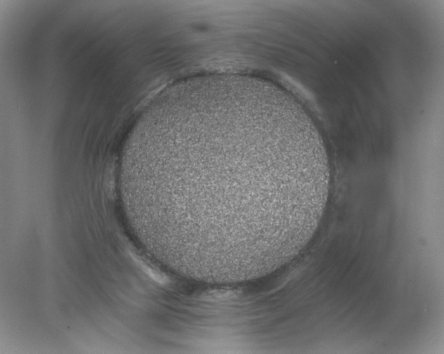 X0000078280065200611172107