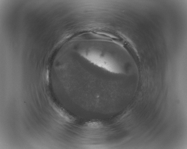 X0000078280067200611172107