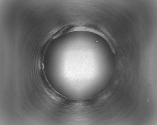 X0000078280068200611172107