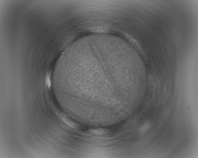 X0000078280069200611172107