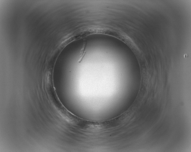 X0000078280071200611172107