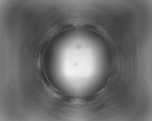 X0000078280074200611172107