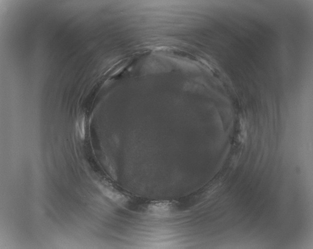 X0000078280076200611172107